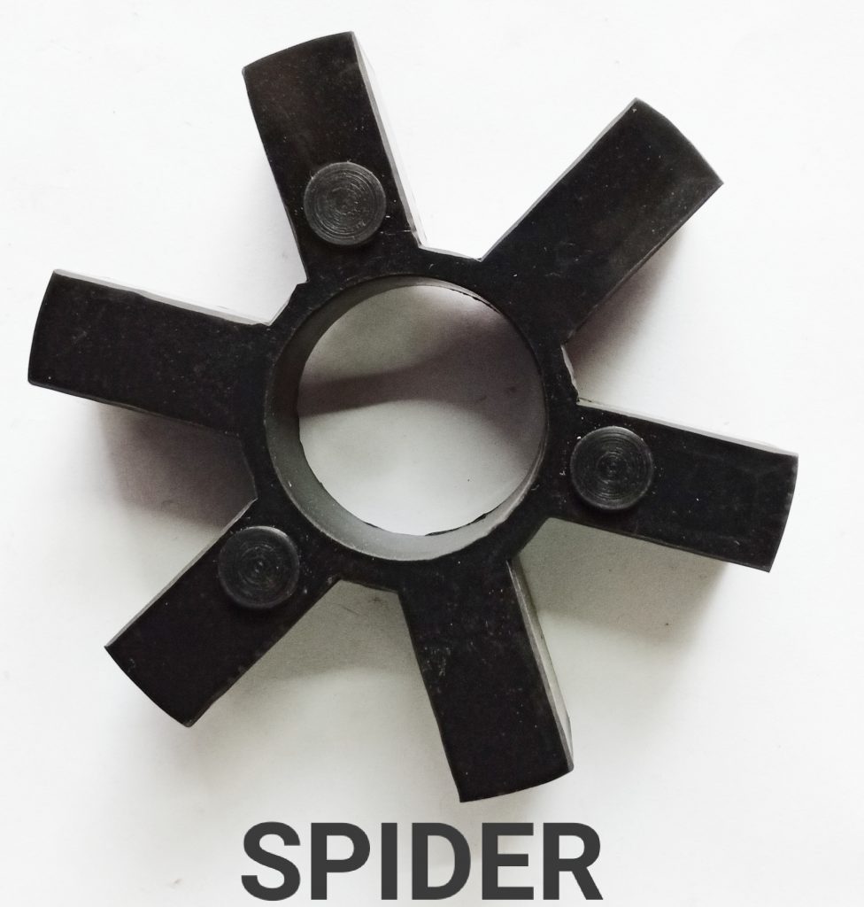 SPIDER